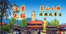 操逼免费视频网站黑丝江苏无锡灵山大佛旅游风景区