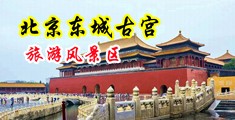 操逼逼抠逼视频中国北京-东城古宫旅游风景区