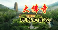 骚逼就是给我操的视频中国浙江-新昌大佛寺旅游风景区